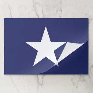 Fourth of July blue white star paper placemats