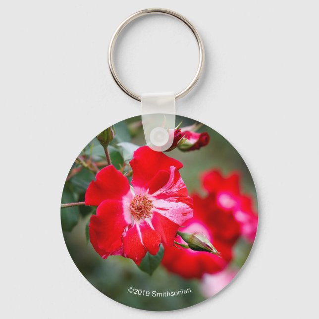 Fourth of July Shrub Keychain (Front)