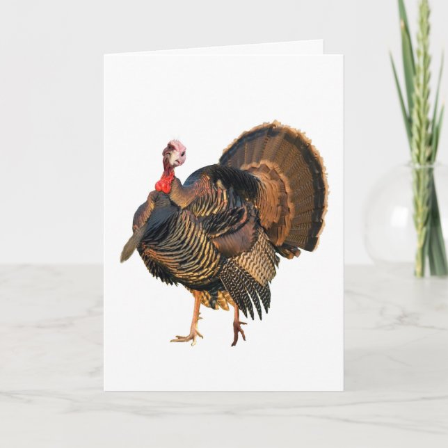 Fowl Language Holiday Card (Front)