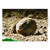 Fowl Of Some Kind (Front Horizontal)