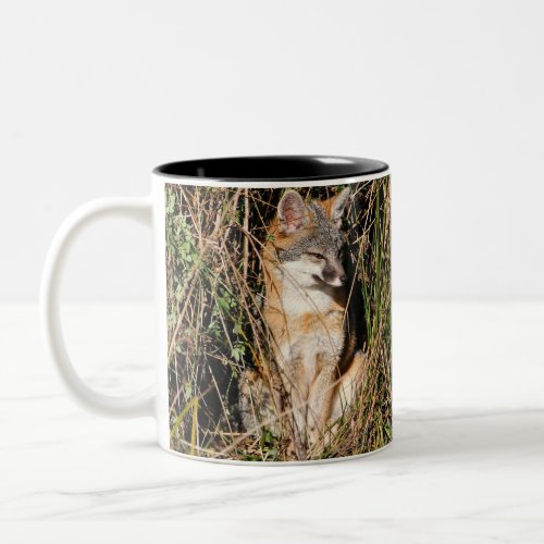 Fox 2_sided Mug