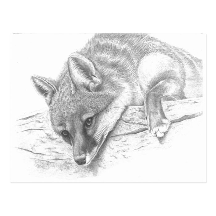 fox 59 post cards