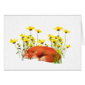 Fox All Occasion Notecard (Front Horizontal)