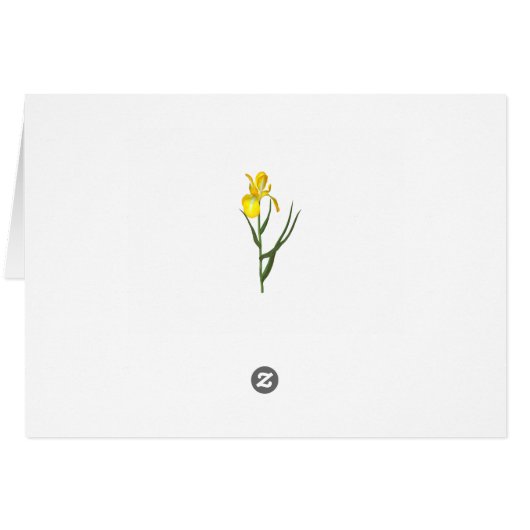 Fox All Occasion Notecard (Back Horizontal)