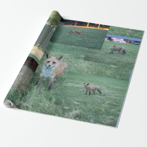Fox and country with barn red fox wrapping paper