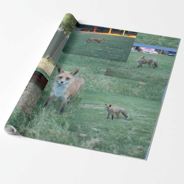 Fox and country with barn, red fox wrapping paper (Unrolled)