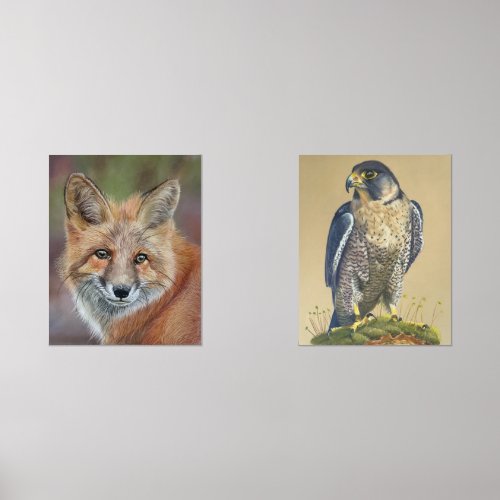 Fox and peregrine falcon prints