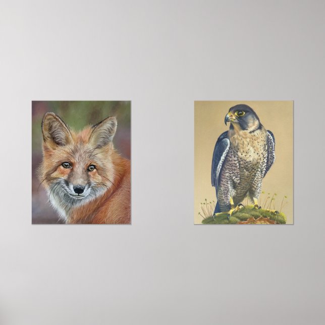 Fox and peregrine falcon prints (Front)