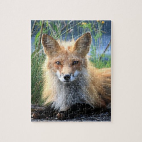 Fox beautiful photo jigsaw puzzle