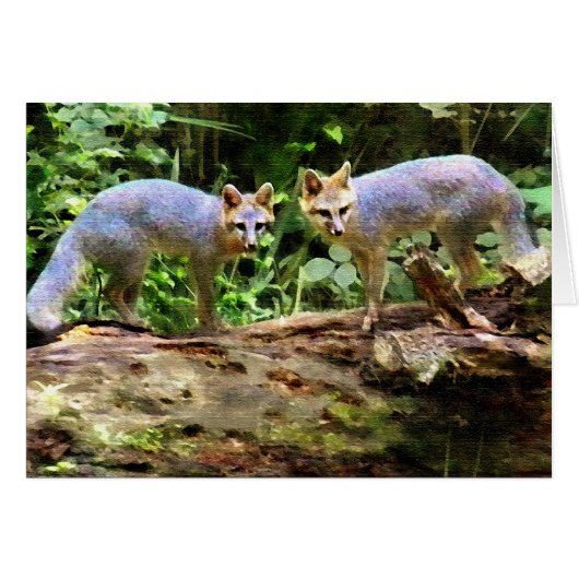 FOX BOOKENDS CARDS (Front Horizontal)