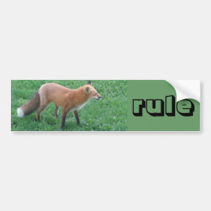 Fox bumper sticker