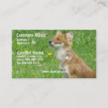 Fox Business Card