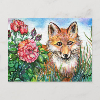 Fox By The Rose Bush Postcard