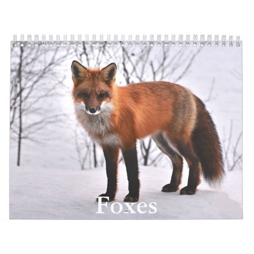 Fox Calendar