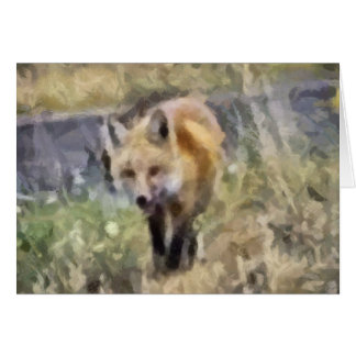 Fox Cards