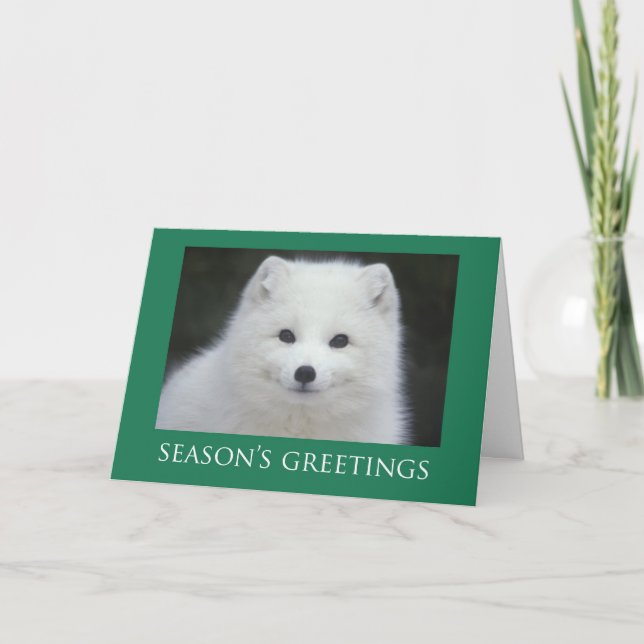 Fox Christmas Cards (Front)
