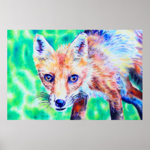Fox colored pencil drawing poster