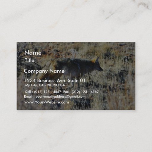 Customizable Fox Coyotes Wild Anilmal In Field Business Card Template
