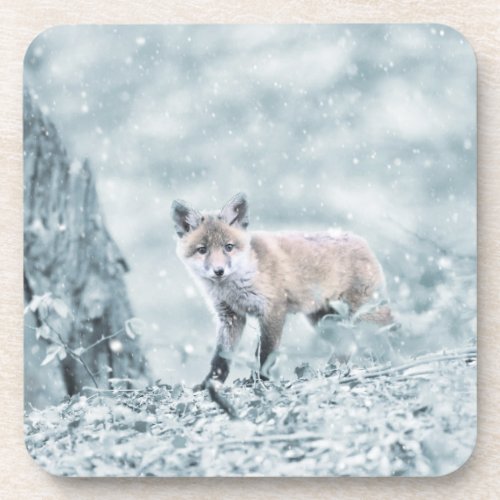 Fox Cub in the Snow Beverage Coaster