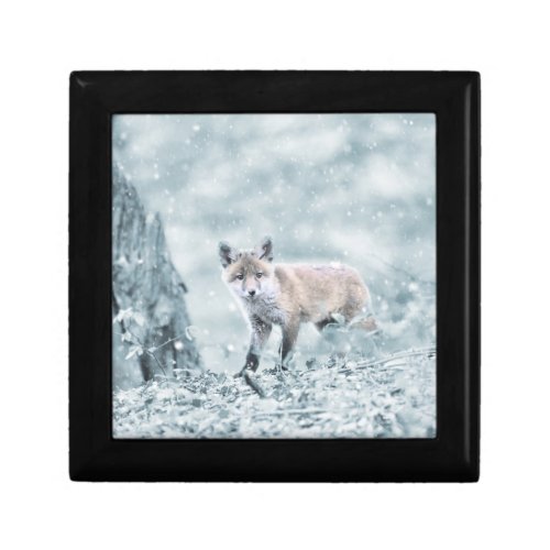Fox Cub in the Snow Gift Box