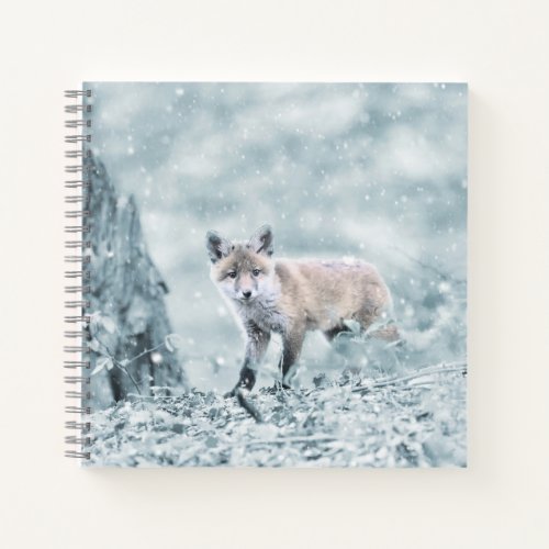 Fox Cub in the Snow Notebook