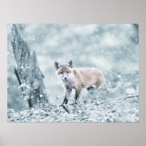 Fox Cub in the Snow Poster