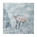 Fox Cub in the Snow Tile<br><div class="desc">Stunning atmospheric soft filter photoshop art of a fox cub wandering through a snowy landscape.</div>