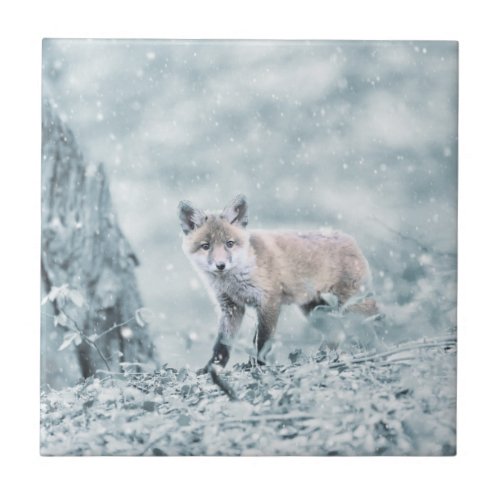 Fox Cub in the Snow Tile