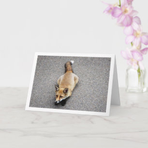Fox Cub Laying on Street Portrait Card