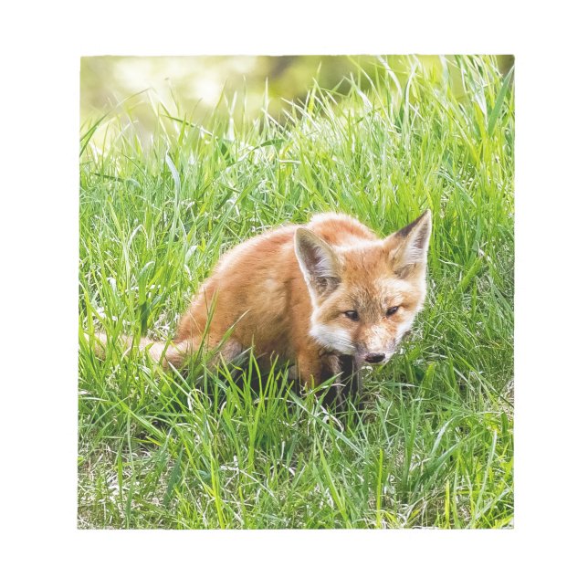 Fox Cub Notepad (Front)