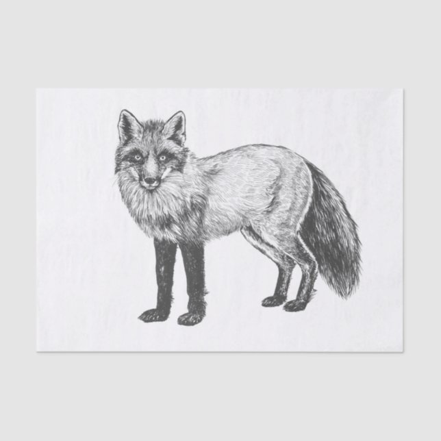 Fox drawing tissue paper (Front)