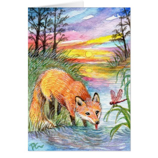 Fox Drinking by Riverside Cards (Front)