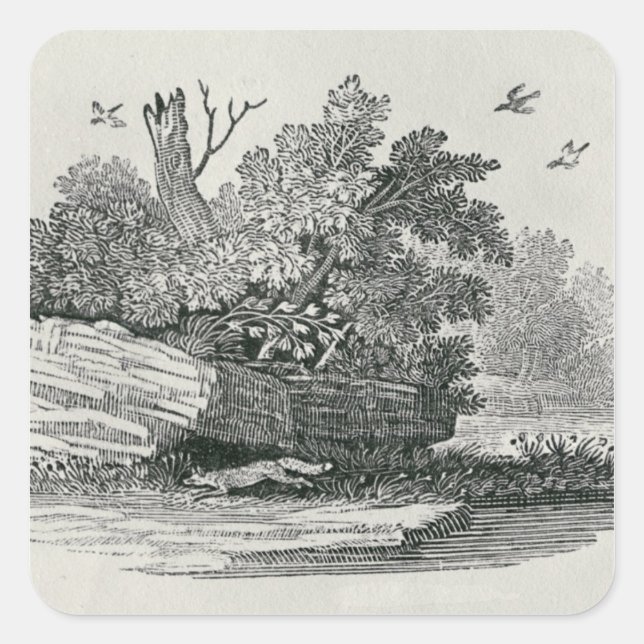 Fox escaping,'The General History of Square Sticker (Front)