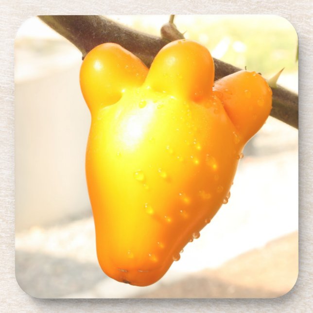 Fox Face Fruit Beverage Coaster (Front)