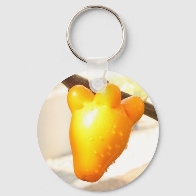 Fox Face Fruit Keychain (Front)
