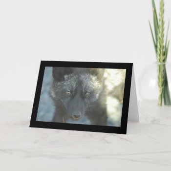 Fox Greeting Card by OrcaWatcher at Zazzle