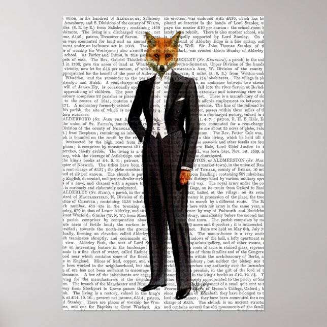Fox In Evening Suit Full Poster (Front)