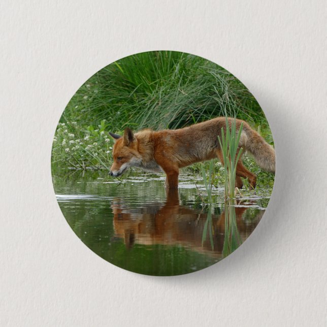 Fox in pond button (Front)