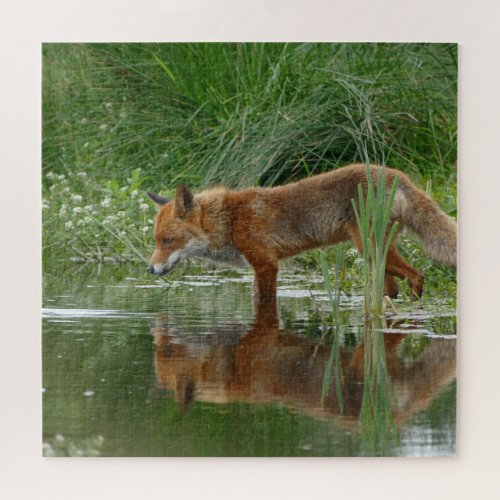 Fox in pond jigsaw puzzle