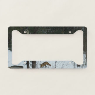 Fox in Snow License Plate Frame