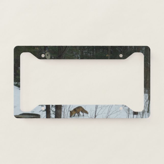 Fox in Snow License Plate Frame (Front)