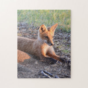 Fox in Sunlight Jigsaw Puzzle