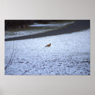 Fox in the Snow Poster