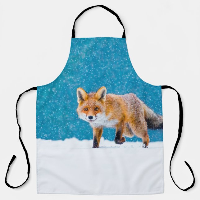 Fox in winter. Red fox, Vulpes vulpes, sniffs abou Apron (Front)