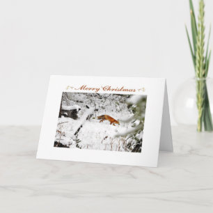 Fox in winter snow photo Christmas card