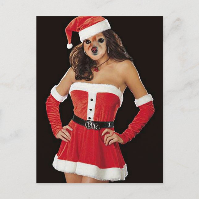 Fox Is Another Santa's Helper Holiday Postcard (Front)