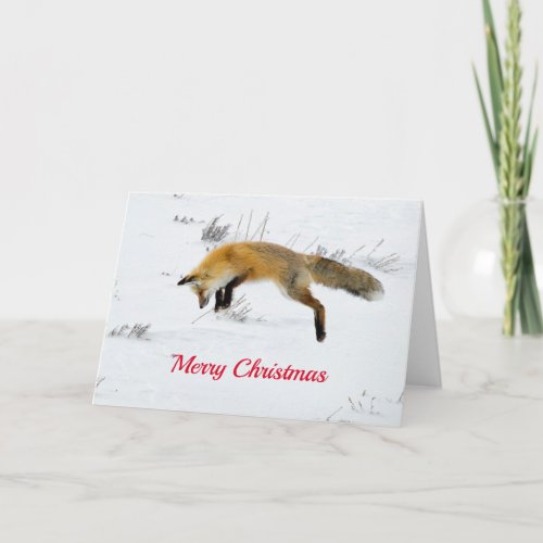 Fox Jumping Snow Photo Holiday Card