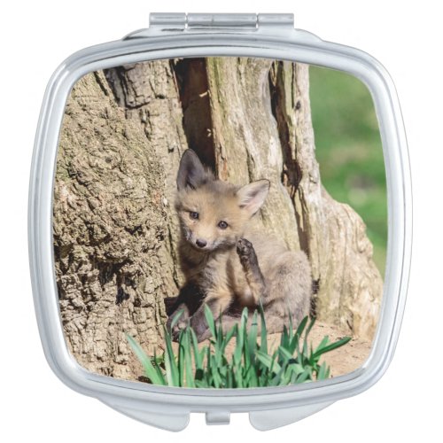 Fox Kit in the Hudson Valley Compact Mirror