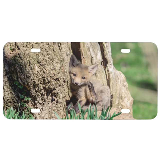 Fox Kit in the Hudson Valley License Plate (Front)