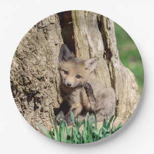 Fox Kit in the Hudson Valley Paper Plates